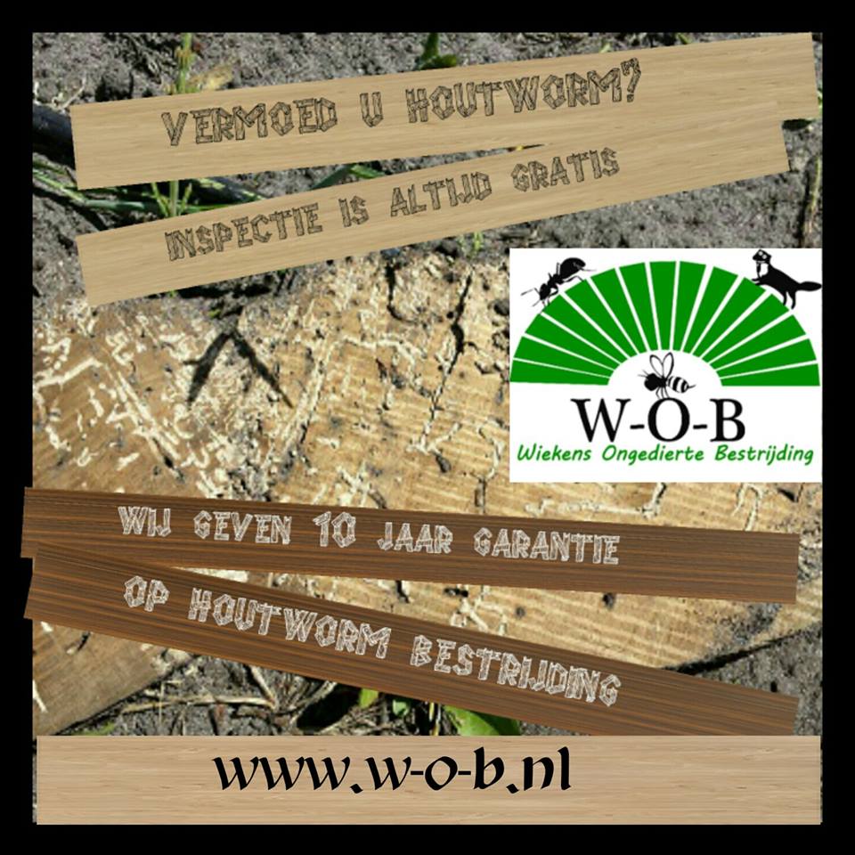 10 jaar garantie op houtworm bestrijding